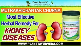 How to Reduce Creatinine and Urea Levels Naturally Mutrakrichantak Churna Benefits [upl. by Ainesy]