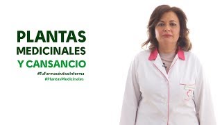 Plantas Medicinales y Cansancio Tu Farmacéutico Informa  PlantasMedicinales [upl. by Paviour23]