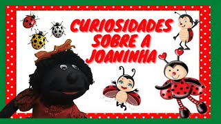 🔴CURIOSIDADES SOBRE A JOANINHA [upl. by Bille397]