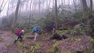 MasonDixon Trail Hike  GoPro [upl. by Nitnert]