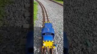 part 2 of travelling the tracks at baggeridge including 2 bunnies [upl. by Seraphina]