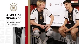 Monte oder Eli Wessen Streams sind besser 👀  Brandt amp Havertz in Agree or Disagree [upl. by Goodkin]