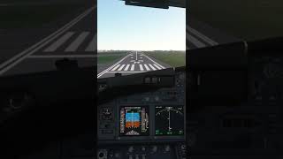 PMDG 737 landing [upl. by Namruht]