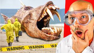 Craziest Things Ever Found in Nature [upl. by Rimat]