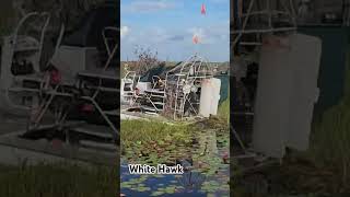 The Boars Nest Party airboat outdoors everglades [upl. by Selassie]