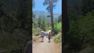 Escape the Heat Discover Fletcher Canyon Trail in Mount Charleston shortvideo shorts [upl. by Aicissej]