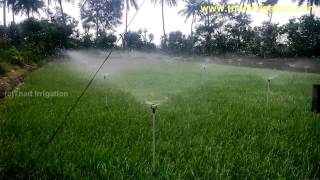 Butterfly Sprinkler Working for Onion Crop  Tamil Nadu Irrigation Equipments Kangeyam [upl. by Eudoxia]