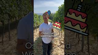 Weinlese – für Florian wie Geburtstag Ostern und Weihnachten zusammen 🎉🍇 [upl. by Draneb176]