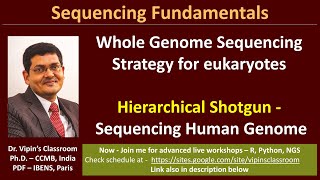 GE12  Sequencing the human genome  Hierarchical Shotgun Sequencing [upl. by Janeva]