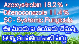 Azoxystrobin 182  Difenoconazole 114 SC  Systemic Fungicide innovativefarmingtelugu [upl. by Jerrilyn884]