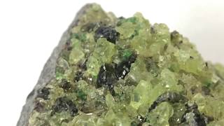 上地函 鎂鐵橄欖石  Forsterite var Peridot 圖鑑 [upl. by Anoyi]