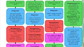 USMLE ALGORITHMS PEDIATRIC SURGERY AT BIRTH [upl. by Eldwon840]