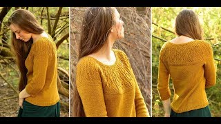 Пуловер с Кокеткой Сверху Спицами  2019  Pullover with Yoke Top Spokes [upl. by Marla]