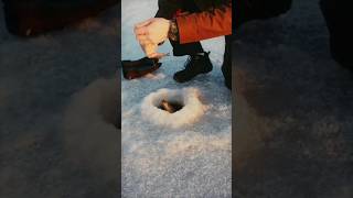 fishing ice ice fishing hobby hunting [upl. by Jessen]