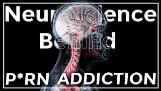 The Neuroscience Behind Prn Addiction [upl. by Anaiuq]