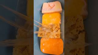 ASMR Sudsy to clear porous sponge rinsing shorts asmrsponge sponge [upl. by Whall]