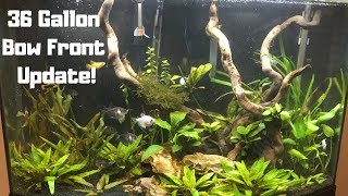 36 Gallon Tank Update Video [upl. by Medea]