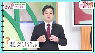 닥터의 경고 손발 시림 증상 완화 방법 무엇이든 물어보세요  KBS 241202 방송 [upl. by Adnuhsar490]