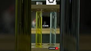 Formation of Oxime🐤 chemistry success shorts [upl. by Lumbard602]