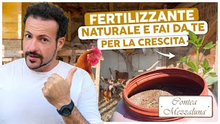 IL FERTILIZZANTE PIU VELOCE NATURALE E FAI DA TE [upl. by Salba]