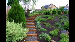 Escaleras en los Jardines [upl. by Eerrehs]