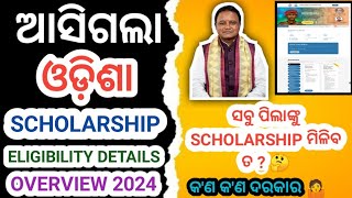 Odisha Post Matric Scholarship Eligibility Criteria 2024 । State Scholarship Portal Apply Process । [upl. by Einnaj]