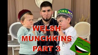 Welsh munchkins part 3  Hasbulla Mcdoodle versus Abdurozik [upl. by Francesca]