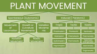 TROPISM TACTIC AND NASTIC MOVEMENTS Tagalog [upl. by Hamrah]