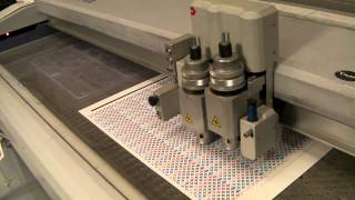 Die Cut Business Card  Motion Printing [upl. by Garceau]