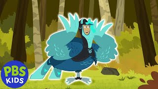 Wild Kratts  Gourmands Turkey Hunt  PBS KIDS [upl. by Etnomal]