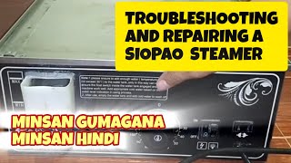 HOW TO TROUBLESHOOT AND REPAIR A FOOD WARMER AND STEAMER trending viraltutorial [upl. by Leopold]