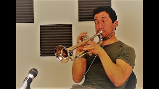 O Holy Night  Wayne Bergeron Trumpet Cover [upl. by Ennelram]