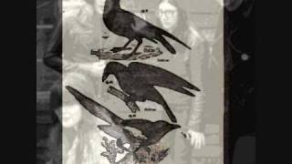 The Dead Weather  3 Birds Instrumental  Horehound [upl. by Dowlen]