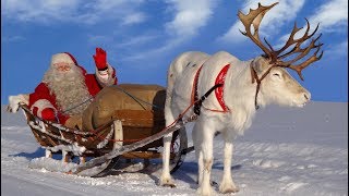 Père Noël amp rennes pour les enfants🦌🎅 les meilleures vidéos du Papa Noël Laponie Finlande Rovaniemi [upl. by Yht]