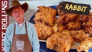 How to Cook Rabbit Two Ways  Deep Fried Rabbit and Hasenpfeffer [upl. by Gen]