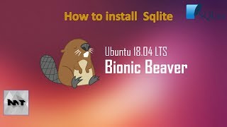 How to install SQlite and SQlitebrowser on Ubuntu 1804 [upl. by Anas]