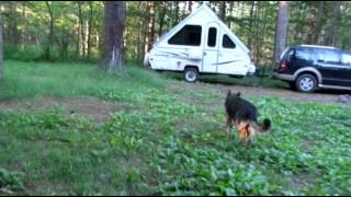 Free Camping in the Jerden Falls Area of the Jadwin Memorial Forest [upl. by Cheatham37]