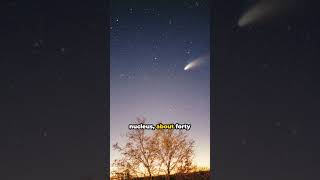 HaleBopp The Great Comets Journey crixus space comet [upl. by Leggat]