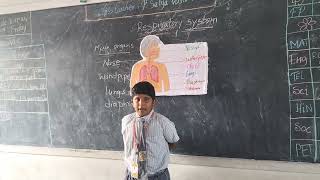 5th Science Respiratory System Explanation by Student 1 [upl. by Ambert]