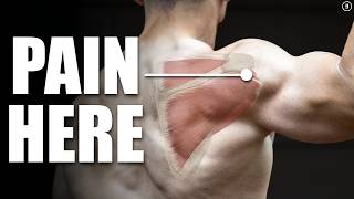 Rotator Cuff Tear Rehab amp Exercises Shoulder Pain Tendinitis Impingement [upl. by Quirita6]