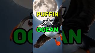 puffin bird through the ocean shorts [upl. by Maxa]