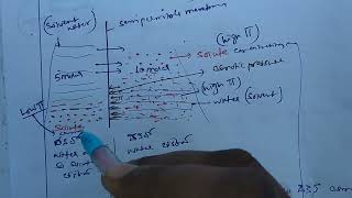 osmotic pressure [upl. by Lucchesi]