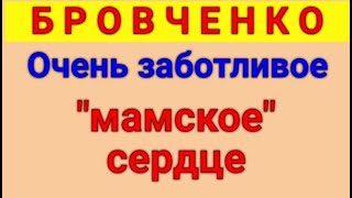 Бровченко Обзор влогов 04 09 2024 Бровченко [upl. by Josiah]