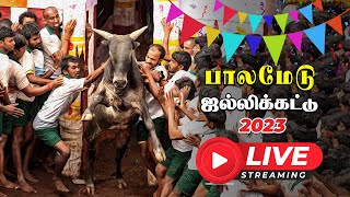 Palamedu Jallikattu Live 2023  பாலமேடு ஜல்லிக்கட்டு நேரலை  Vikatan [upl. by Ynaffets]