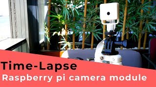 Raspberry Pi TimeLapse and Setup Camera Module [upl. by Belier]