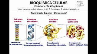 Proteínas e Enzimas [upl. by Platto]