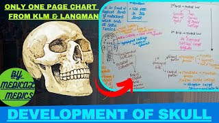 Development of Skull Cranium  Neurocranium amp Viscerocranium  From KLM amp Langman [upl. by Elockcin]