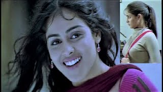 Genelia  Movie actor  Indian cinema  Music video [upl. by Bottali]