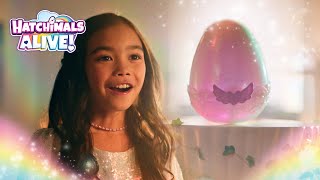 Hatchimals Alive Mystery Hatch  Something Magical is Coming [upl. by Divadnahtanoj572]