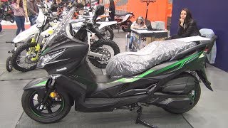 Kawasaki J300 Special Edition 2019 Exterior and Interior [upl. by Jaala635]